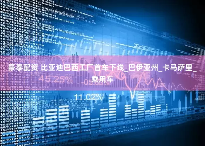 豪泰配资 比亚迪巴西工厂首车下线_巴伊亚州_卡马萨里_乘用车