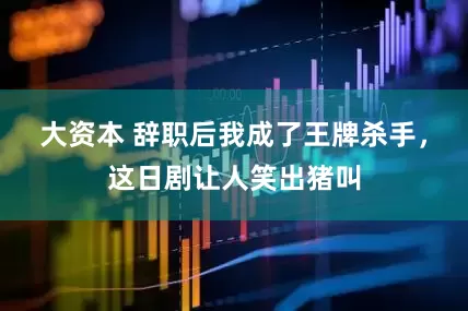 大资本 辞职后我成了王牌杀手，这日剧让人笑出猪叫