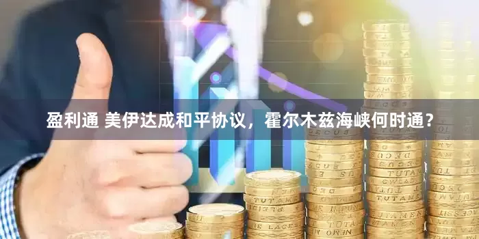 盈利通 美伊达成和平协议,霍尔木兹海峡何时通?
